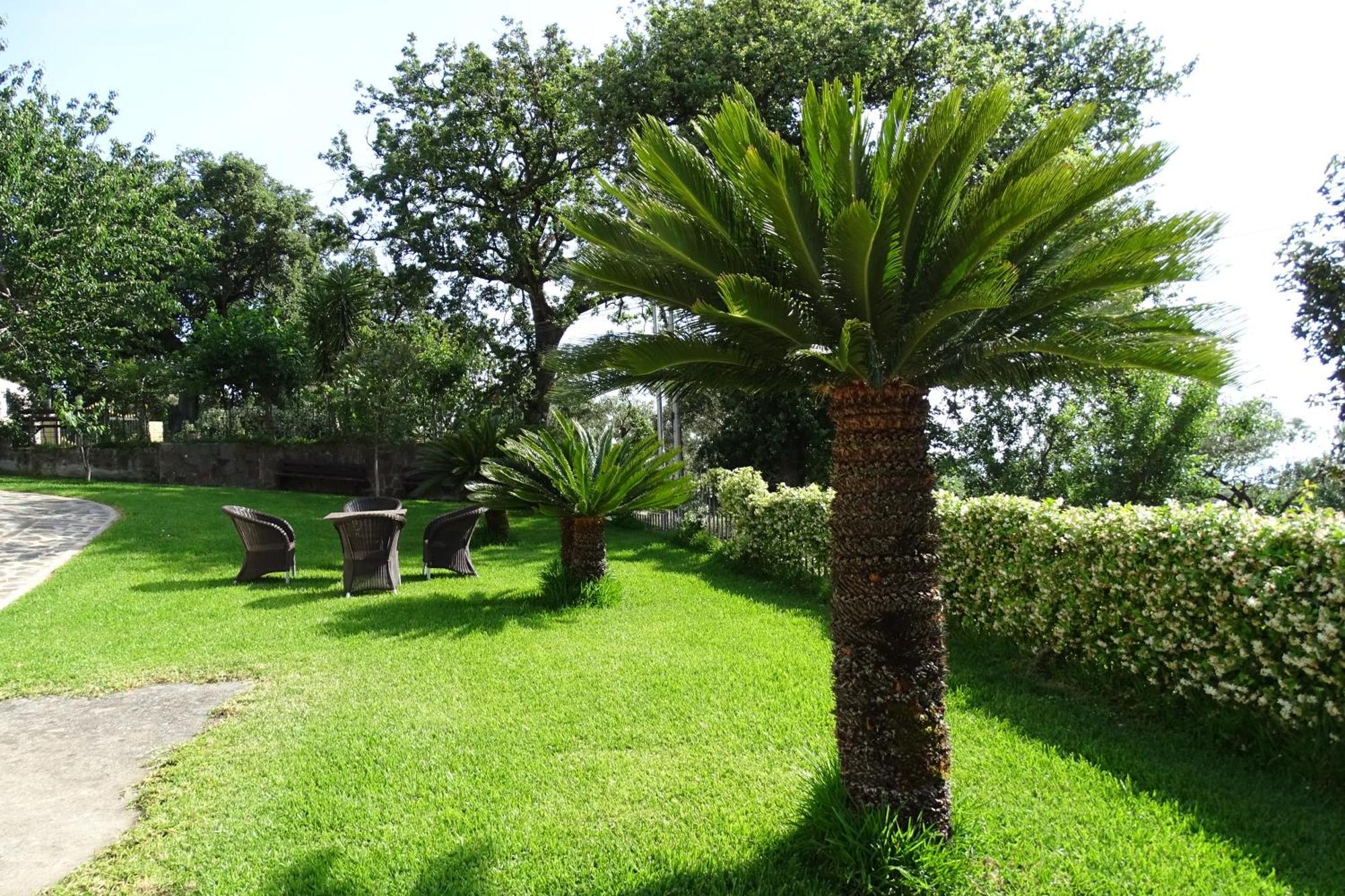 B&B Nucria - Nocera Terinese Exterior photo